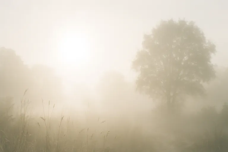 Witte gloed op foto's ontrafeld: betekenis, oorzaken en hoe je het sfeervol vastlegt